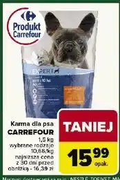 Carrefour Karma dla psa mini senior Carrefour Companino oferta