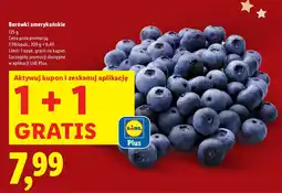 Lidl Borówki amerykańskie Lidl oferta