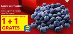 Lidl Borówki amerykańskie oferta