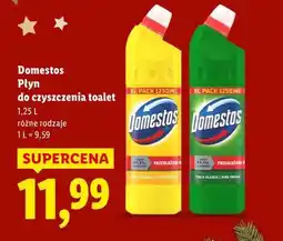 Lidl Domestos, płyn do czyszczenia toalet oferta