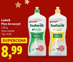 Lidl Ludwik, Płyn do naczyń oferta