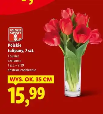 Lidl Polskie tulipany, 7 szt oferta