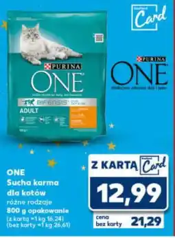 Kaufland ONE, Sucha karma dla kotów oferta