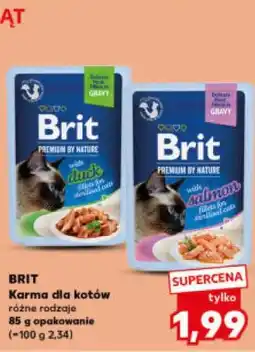 Kaufland Brit, karma dla kotów oferta