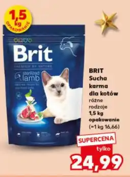 Kaufland Brit, sucha karma dla kotów oferta