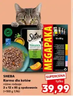 Kaufland Sheba, karma dla kotów oferta