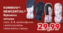 Kaufland Rękawiczki zimowe oferta