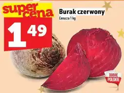 Topaz Burak czerwony TOPAZ oferta