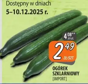 Społem Szczecin Ogórek oferta