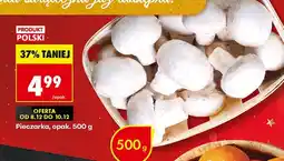Biedronka Pieczarka biała Biedronka oferta