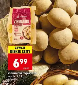 Biedronka Ziemniaki maczyste, opak. 1,5 kg Biedronka oferta
