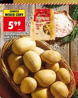 Biedronka Ziemniaki polskie, opak. 1,5 kg Biedronka oferta