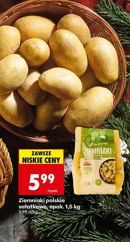 Biedronka Ziemniaki polskie sałatkowe, opak. 1,5 kg Biedronka oferta