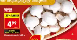 Biedronka Pieczarka, opak. 500 g oferta