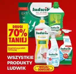 Biedronka Wszystkie produkty Ludwik oferta