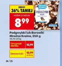 Biedronka Podgrzybki lub borowiki mroźna Kraina oferta