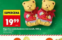 Biedronka Lindt figurka czekoladowa miś oferta