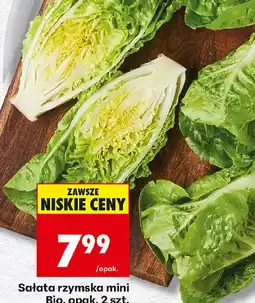 Biedronka Sałata rzymska mini Bio oferta