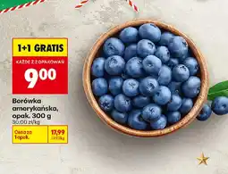 Biedronka Borówka amerykańska oferta