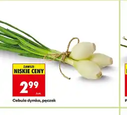 Biedronka Cebula dymka oferta
