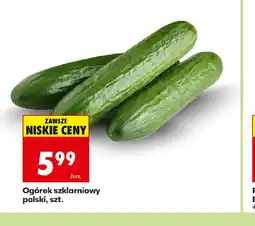 Biedronka Ogórek szklarniowy oferta