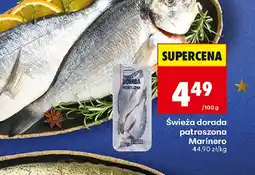 Biedronka Marinero Swieża dorada oferta