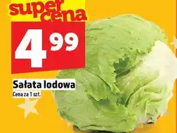 Topaz Sałata lodowa TOPAZ oferta