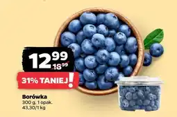 Netto Borówka oferta