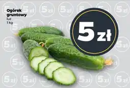 Netto Ogórek gruntowy oferta