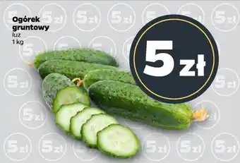 Netto Ogórek gruntowy oferta
