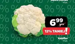 Netto Kalafior oferta