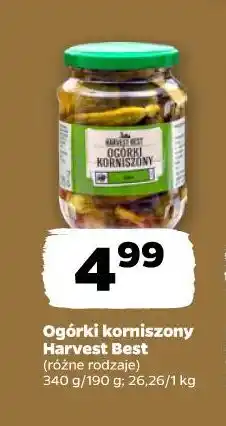 Netto Ogórki korniszony Harvest Best oferta