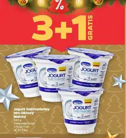Netto Jogurt śmietanowy bez laktozy Maluta oferta