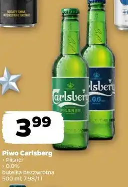 Netto Piwo Carlsberg oferta