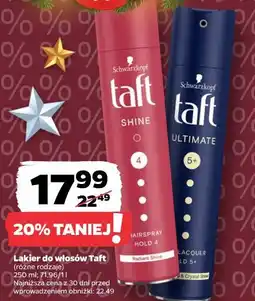 Netto Lakier do włosów Taft oferta