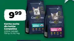 Netto karma sucha dla kotów Competina oferta