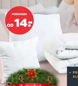 Netto Poduszki oferta