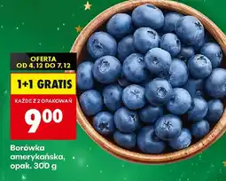 Biedronka Borówka amerykańska oferta