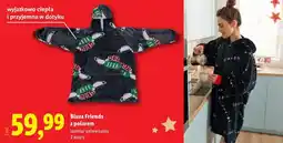 Lidl Bluza Friends z polarem oferta