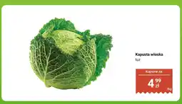 Dino Kapusta włoska luz Dino oferta