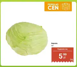 Dino Kapusta luz Dino oferta