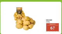 Dino Ziemniaki Dino oferta