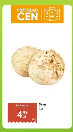 Dino Seler luz Dino oferta