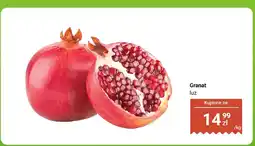 Dino Granat luz Dino oferta