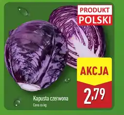 ALDI Kapusta czerwona Polski oferta