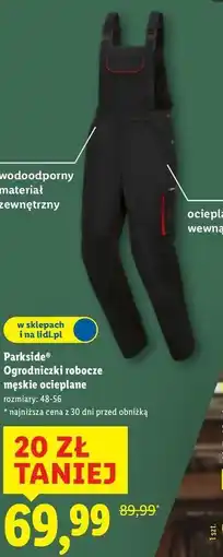 Lidl Ogrodniczki robocze męskie ocieplane oferta