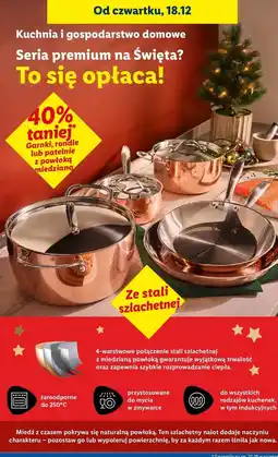 Lidl Rondel oferta