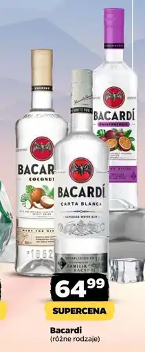 Netto bacardi (różne rodzaje) oferta