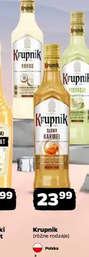 Netto Krupnik (różne rodzaje) oferta