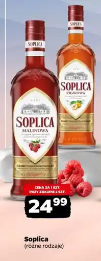 Netto Soplica (różne rodzaje) oferta